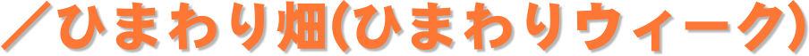 ^Ђ܂蔨(Ђ܂EB[N)