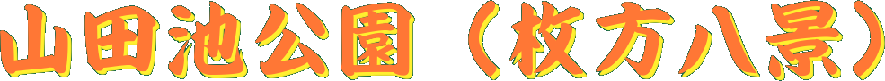 Rcriij