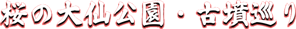 ̑EÕ